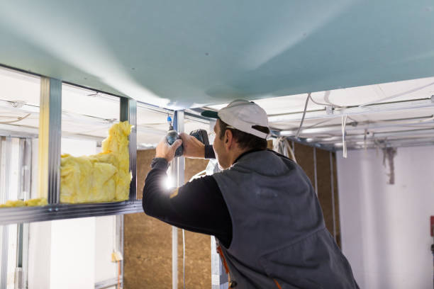 Best Wall Insulation Installation  in Red Bluff, CA